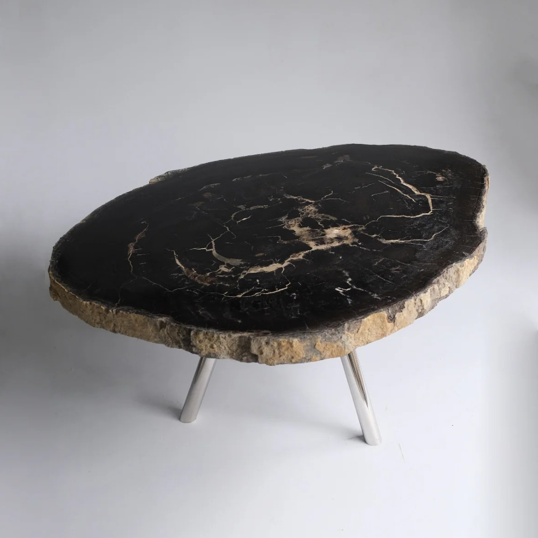珪化木 Round Table #008 / OAK Petrified Wood