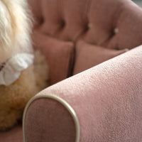 Alies Pet Sofa