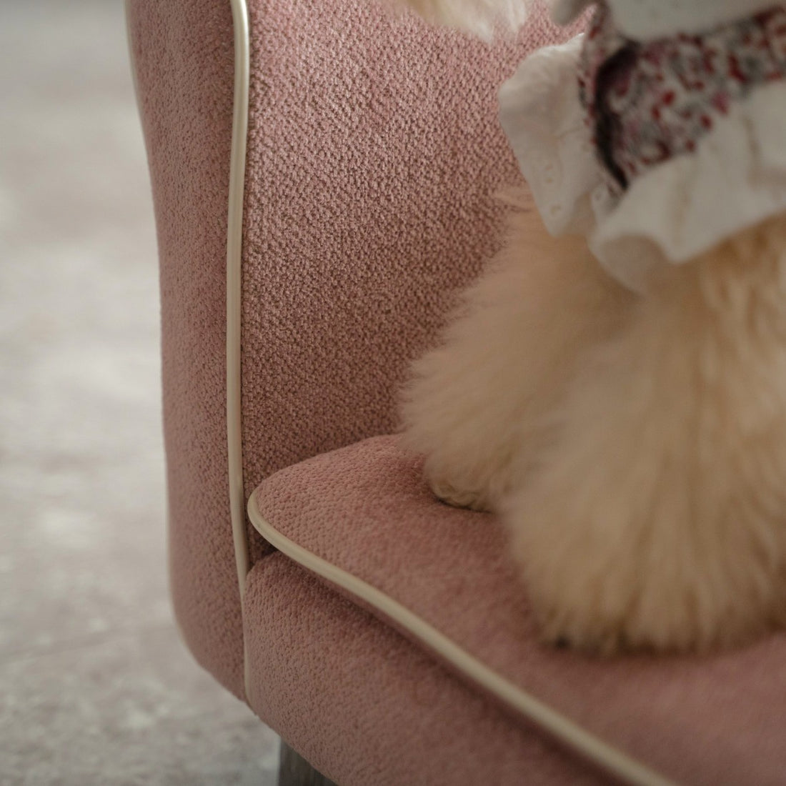 Alies Pet Sofa