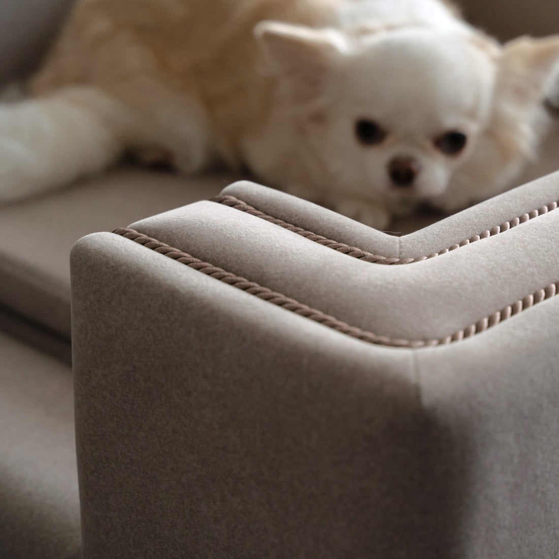 Grazia Pet Sofa