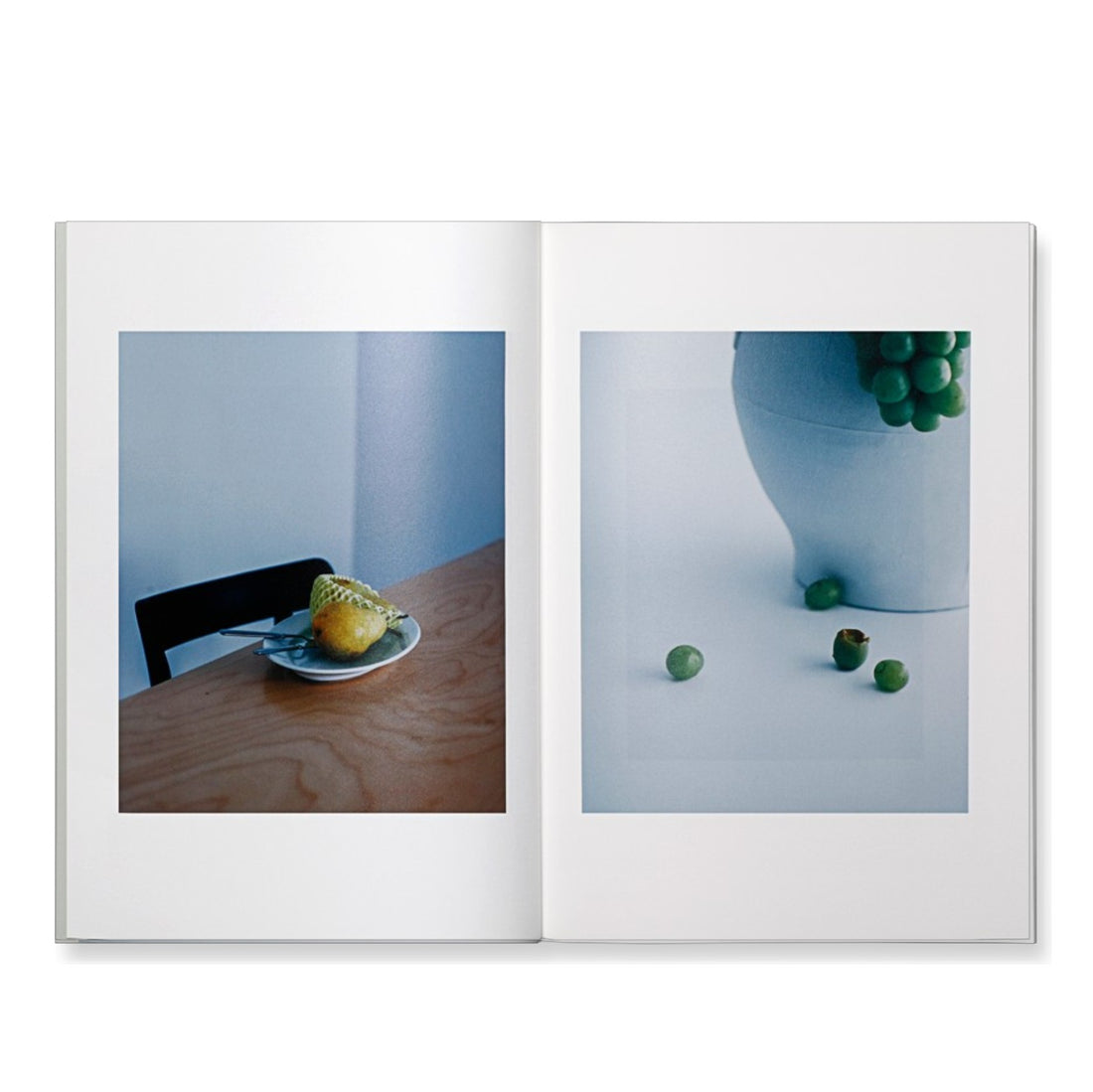Obscure Fruits｜原田 教正